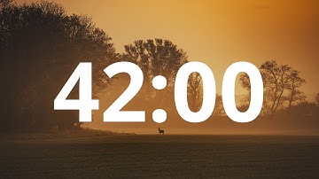 42 Minute Countdown Timer With Alarm (Simple Beep)