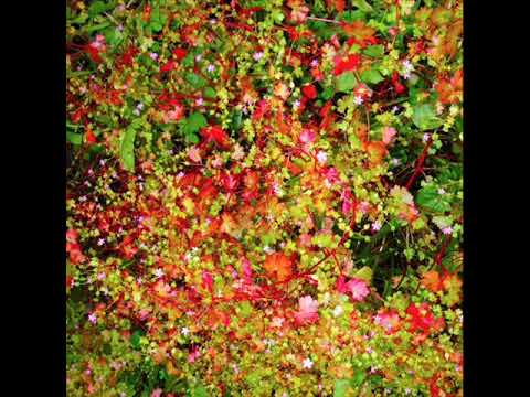 Four Tet – SW9 9SL