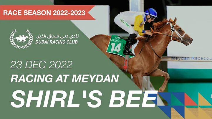 Race #7 - 23/12/22 - Worlds Coolest Winter Maiden