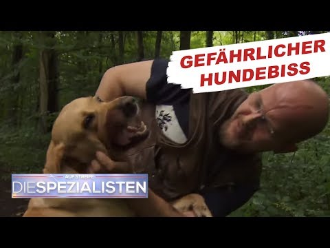 Hundebiss: Überträgt das Tier Tollwut? | Auf Streife - Die Spezialisten | SAT1. TV