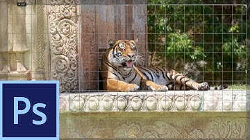 Photoshop CS6: Crop Changes |