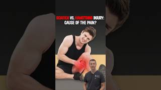 Sciatica vs. Hamstring Injury: How to Tell What’s Really Causing Leg Pain
