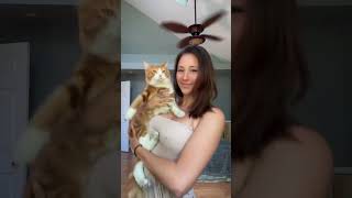 I Thought It Was Just A Moment But Now Its My Every Desire