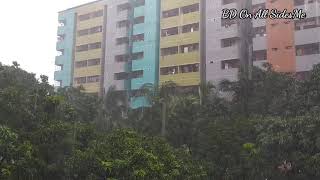 Relaxing Soft rain with Music 🌧 Rainy day Rural life in Bangladeshi village screenshot 4