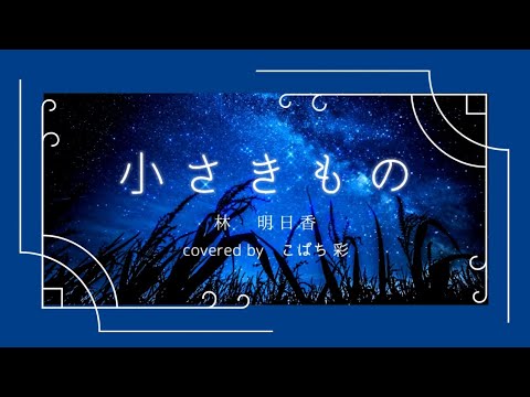 【歌ってみた】小さきもの/林明日香【ポケモン】【ジラーチ】