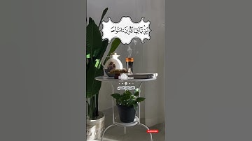 ‏﴿ يَا أَيُّهَا الَّذِينَ آمَنُوا صَلُّوا عَلَيْهِ وَسَلِّمُوا تَسْلِيمًا}||القارئ /ماجد الصمدي