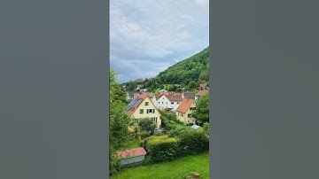 ألمانيا 🇩🇪 - من المؤمنين رجال صدقوا ما عاهدوا الله عليه - تلاوة جميلة