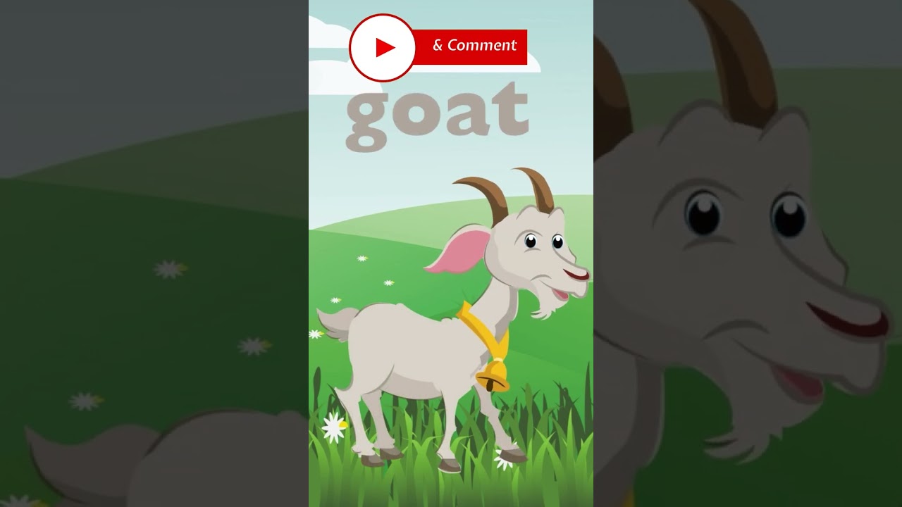 Animal sounds and names for children!