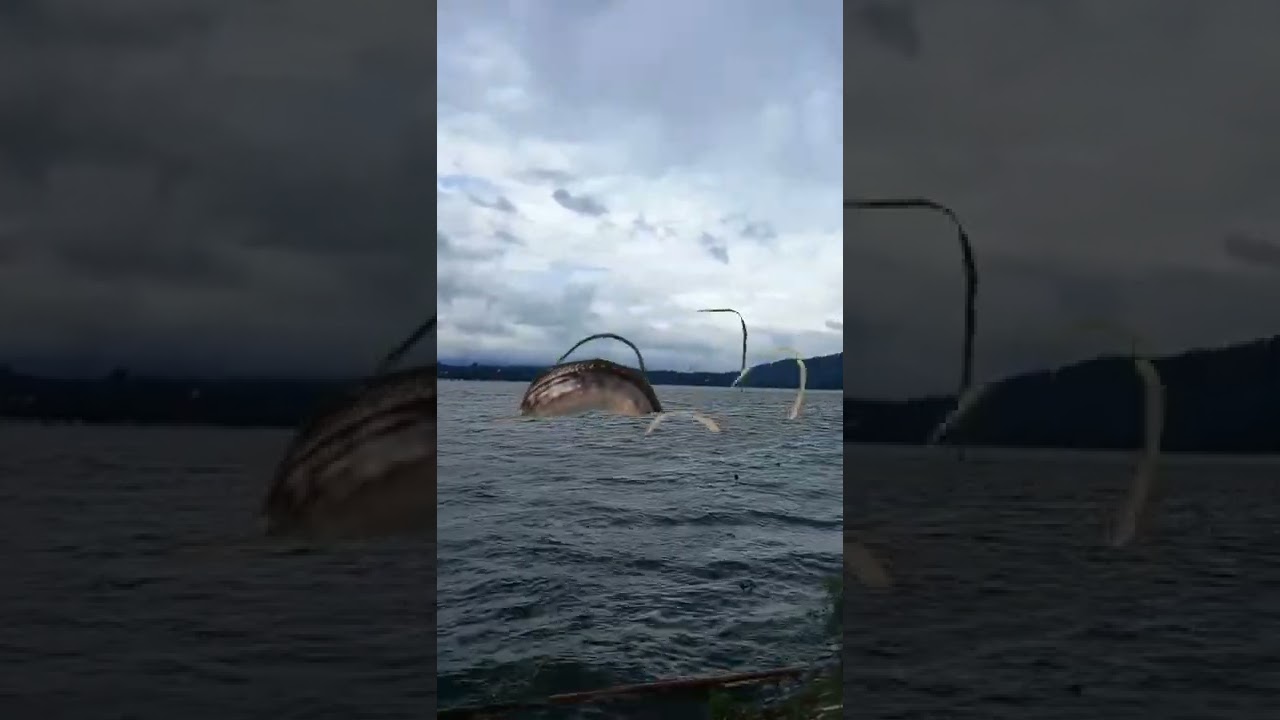 🔴 penampakan mahluk aneh di waduk darma kuningan/editor pro 