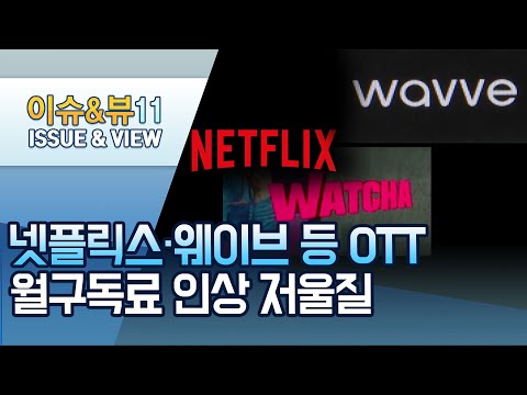 넷플릭스·웨이브 등 OTT, 월구독료 인상 저울질 / 머니투데이방송 (뉴스)