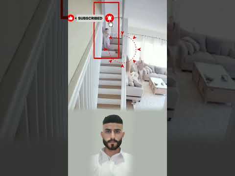 قد يختبئ معنى الوفاء في جوف كلبصامت بينما يضيع صوته في اجواف كثير من البشر  