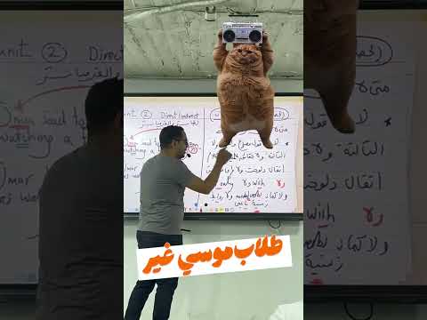 لو ماكنش مدرس كان قطع على عمرو دياب 😂😂  #english #عمرو_دياب #ثانوية_عامة