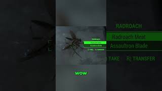 Fallout 4 With Random Loot Is INSANE   #fallout #fallout4  #gaming