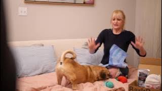 When Your Significant Other Opens the BarkBox Without You