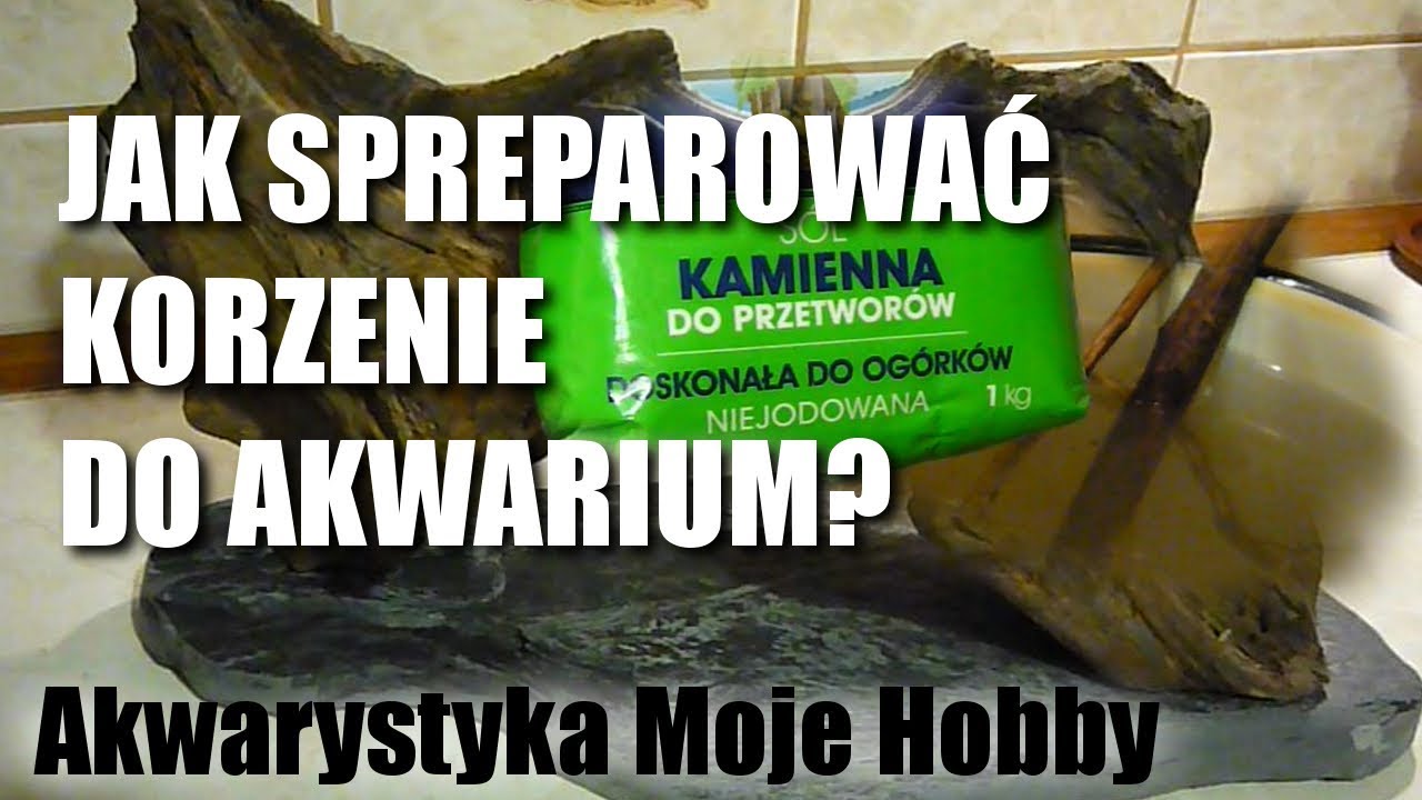 Jak spreparować korzenie do akwarium?
