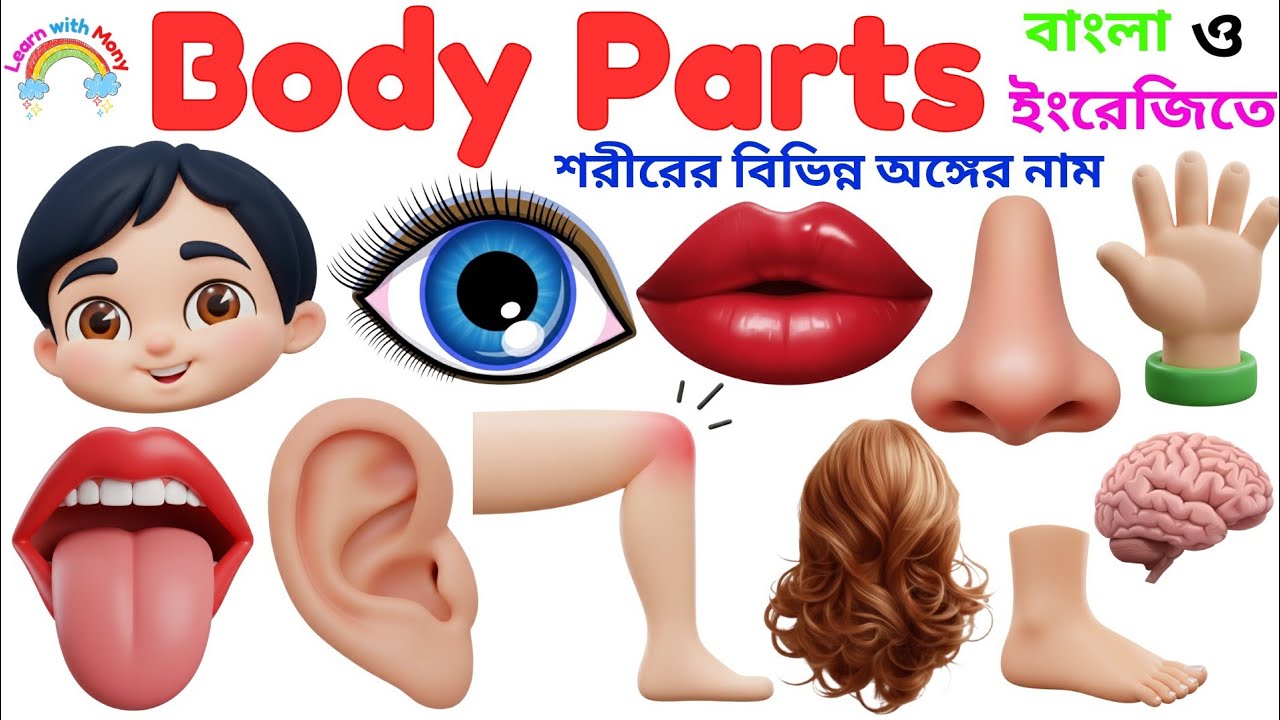 Body Parts Name|Learn 20 Body Parts in English &Bangla with Pictures|Human Body Parts Name for Kids 