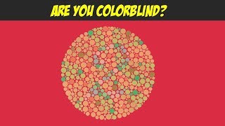 Are You Colorblind ? Real Test
