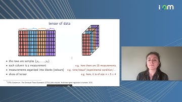 Anna Seigal: "Principal Components along Quiver Representations"