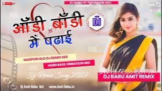 ANRI BARI ME PADRAI DJ REMIX SONG || DJ WALA NEW NAGPURI DJ SONG 2022 ||DJ REMIX  NAGPURI SONG ||