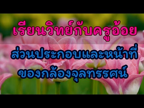 กล้องจุลทรรศน์แบบใช้แสง