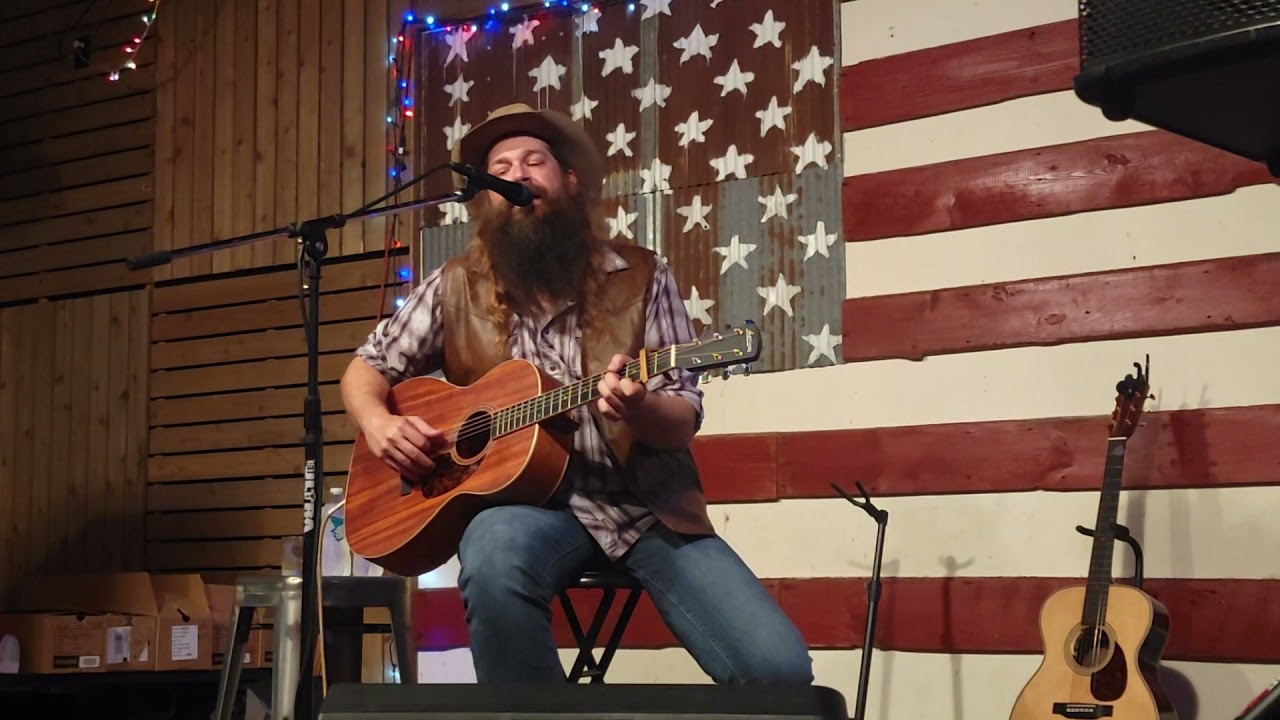 Ward Davis - Black Cats and Crows