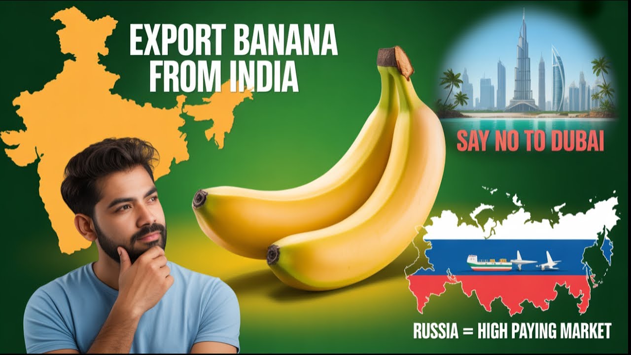 English: How to Export Bananas from India | Banana Leaf, Powder, Packing, Shipping & Market Insights