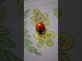 check this out