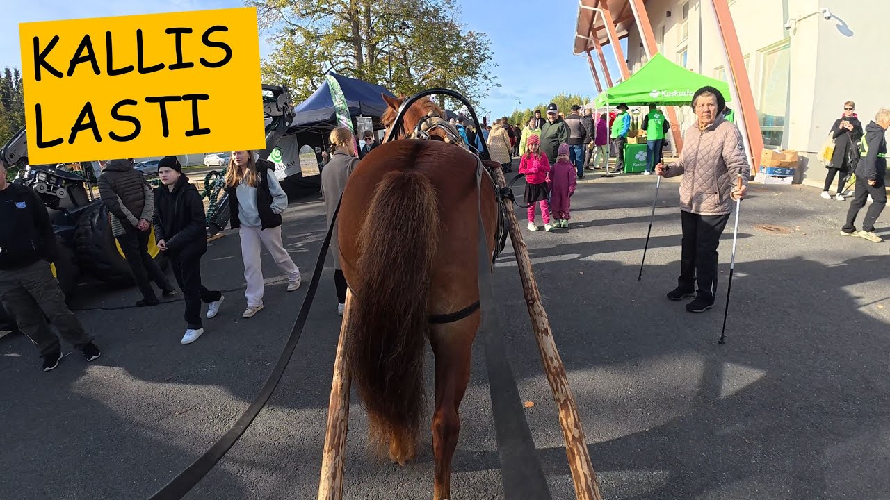 Paukku & arvovaltainen kyyti Liperin leipäpäivillä