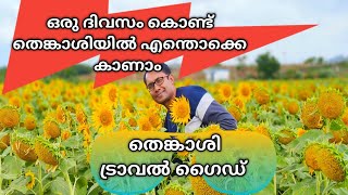 Tenkasi Travel Guide Places To Visit In Tenkasi Sundarapandiapuram Tenkasi Tourist Places