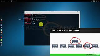 007 Kali Linux для начинающих. Перемещение по папкам
