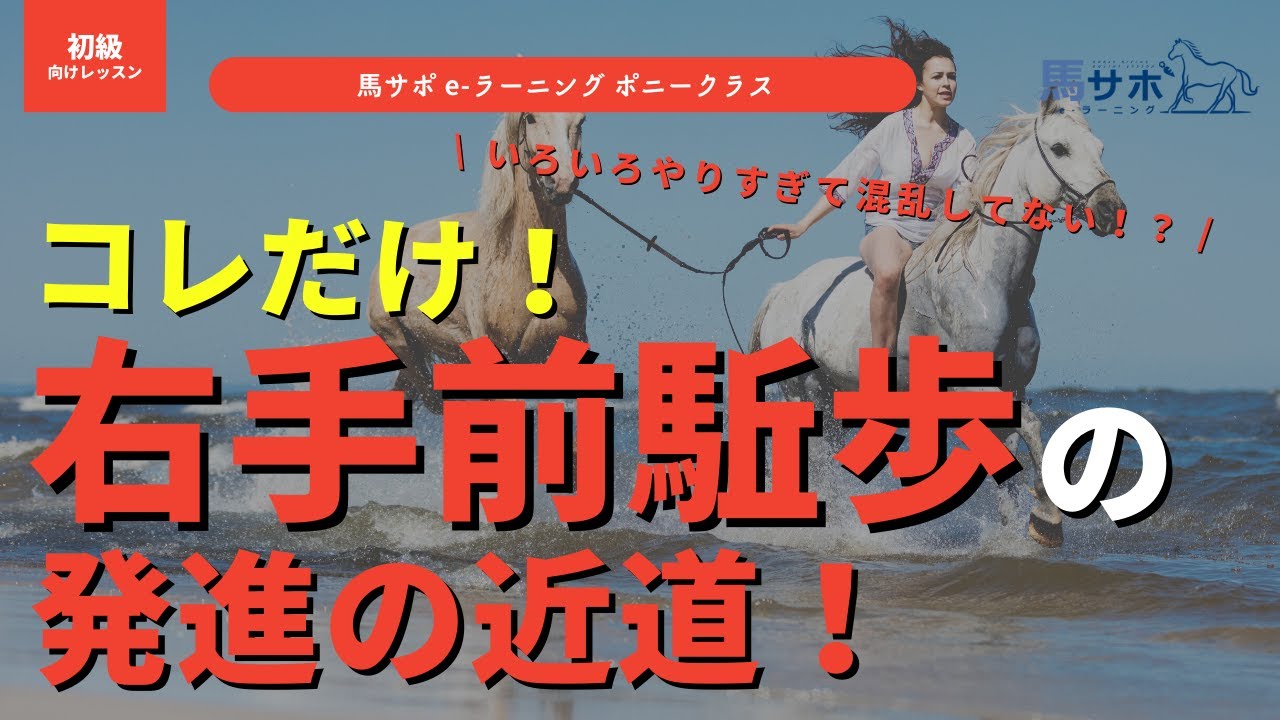 【駈歩】今さら聞けない！右手前駈歩の発進の仕方＆たった1つのコツ