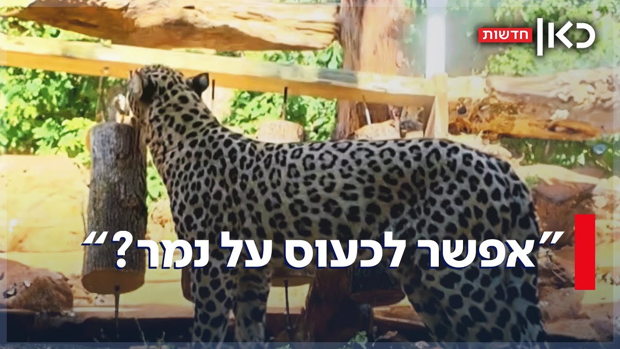 אחרי שעובד ננשך למוות: גן החיות התנ