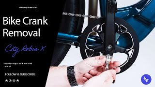 Euphree Electric Bikes Step-By-Step Crank Removal Tutorial E-Bike Maintenance & Tips
