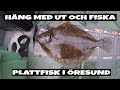 Häng med ut och fiska - Skrubba på vertikalspö i Öresund.