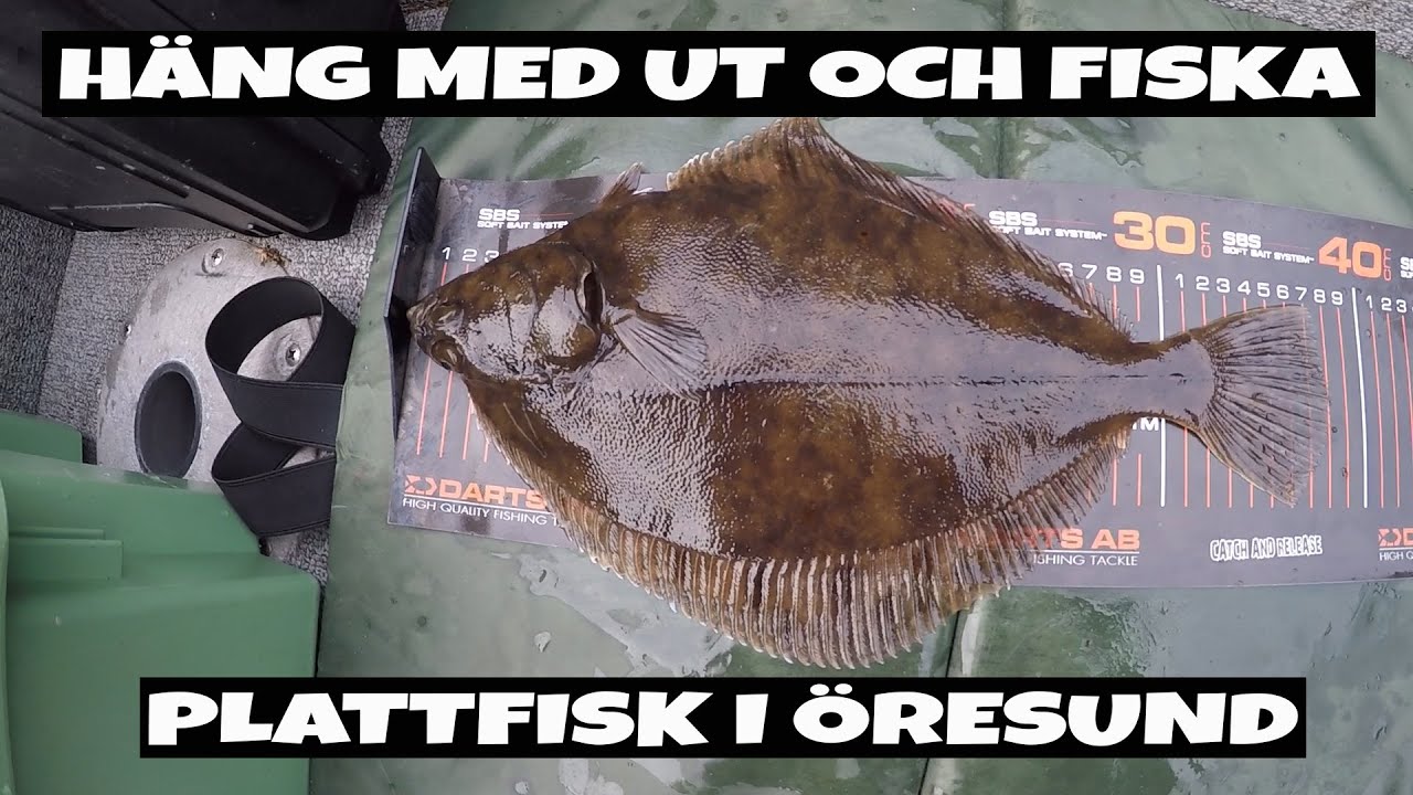 Häng med ut och fiska - Skrubba på vertikalspö i Öresund.