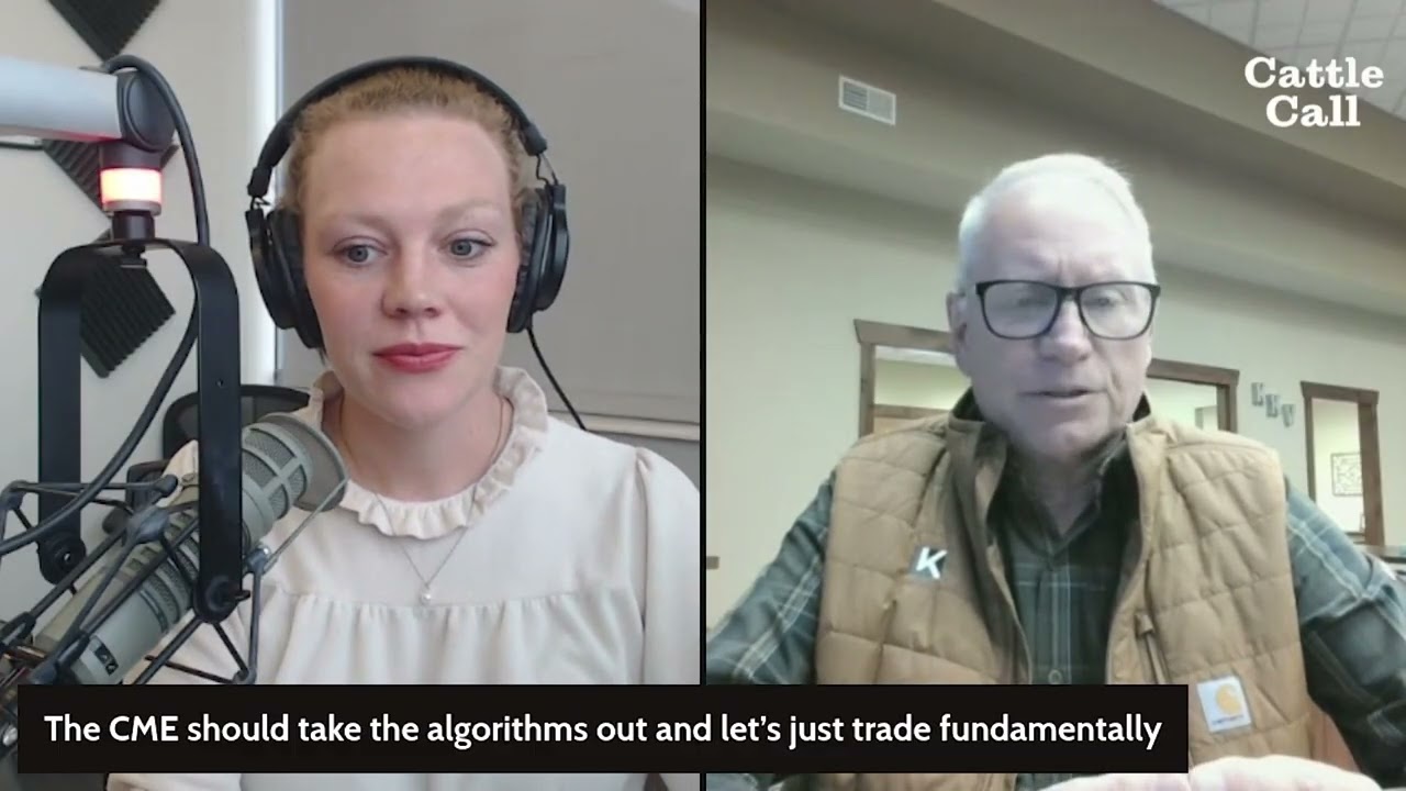 Заговор скота: Рынки крупного рогатого скота балансируют между предложением и растущим числом сбоев.