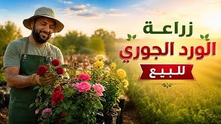 زراعة الورد الجوري : مشروع مربح من قلب المزرعة