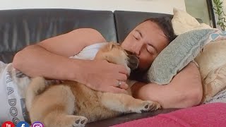 Puppy's 1st time on the sofa to speeper with hooman