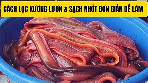 Cách LỌC XƯƠNG LƯƠN cách làm lươn sạch nhớt chuyên nghiệp của nhà hàng.