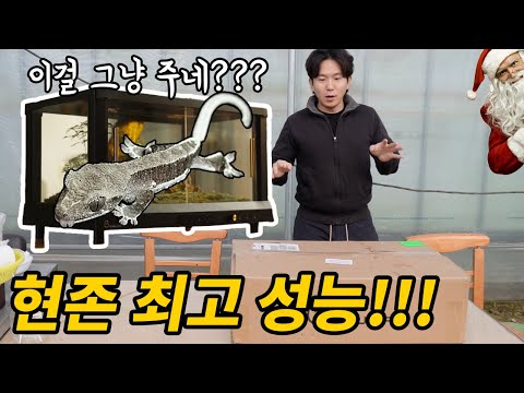 지금 사야 가장 저렴합니다!! 파충류 사육의 미래!!!