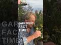 David Domoney: Plant Name Secret  #howto  #plants