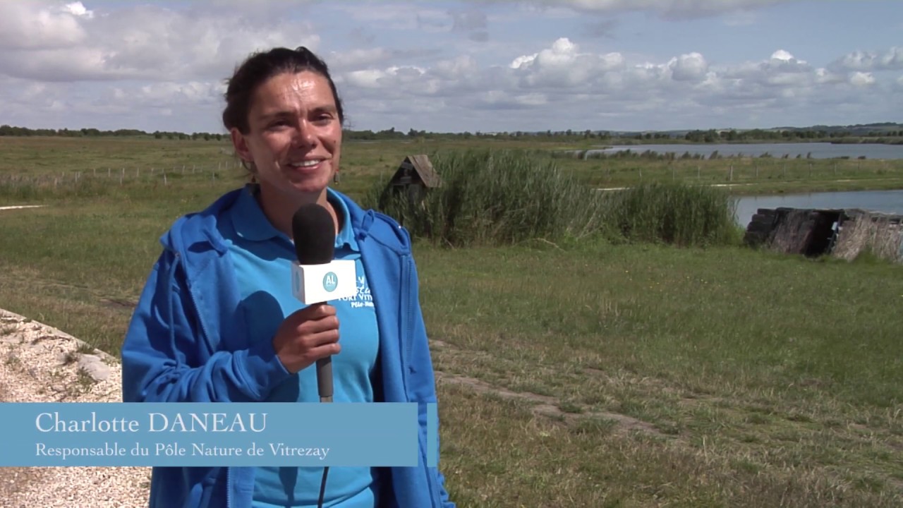 L’Estuaire de la Gironde, de Vitrezay à Port Maubert