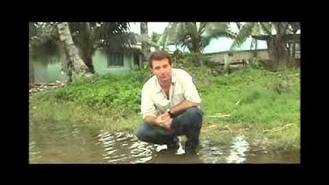 Interchange 3 (7. Endangered islands)