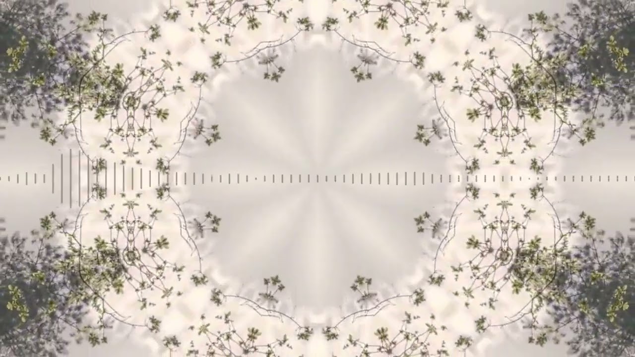 Raines - "NINE" (VIBES VISUALIZER)