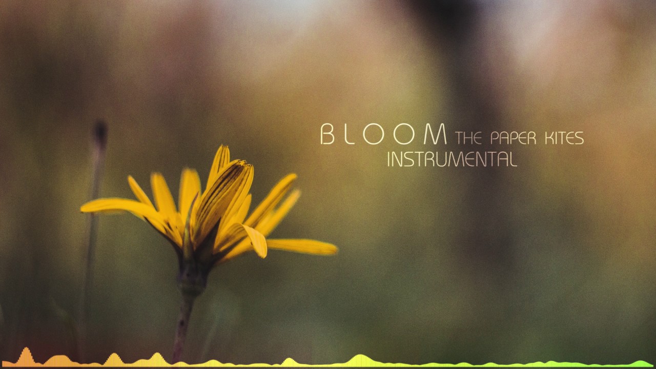 Bloom (Instrumental) The Paper Kites (by Bake Until Golden) YouTube