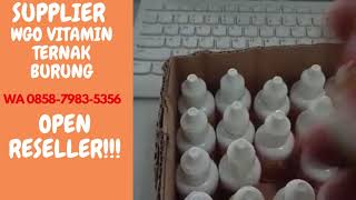 WA 0858-7983-5356 SUPPLIER WGO,  Vitamin Ternak Burung Perkutut, Vitamin Burung Puter screenshot 3
