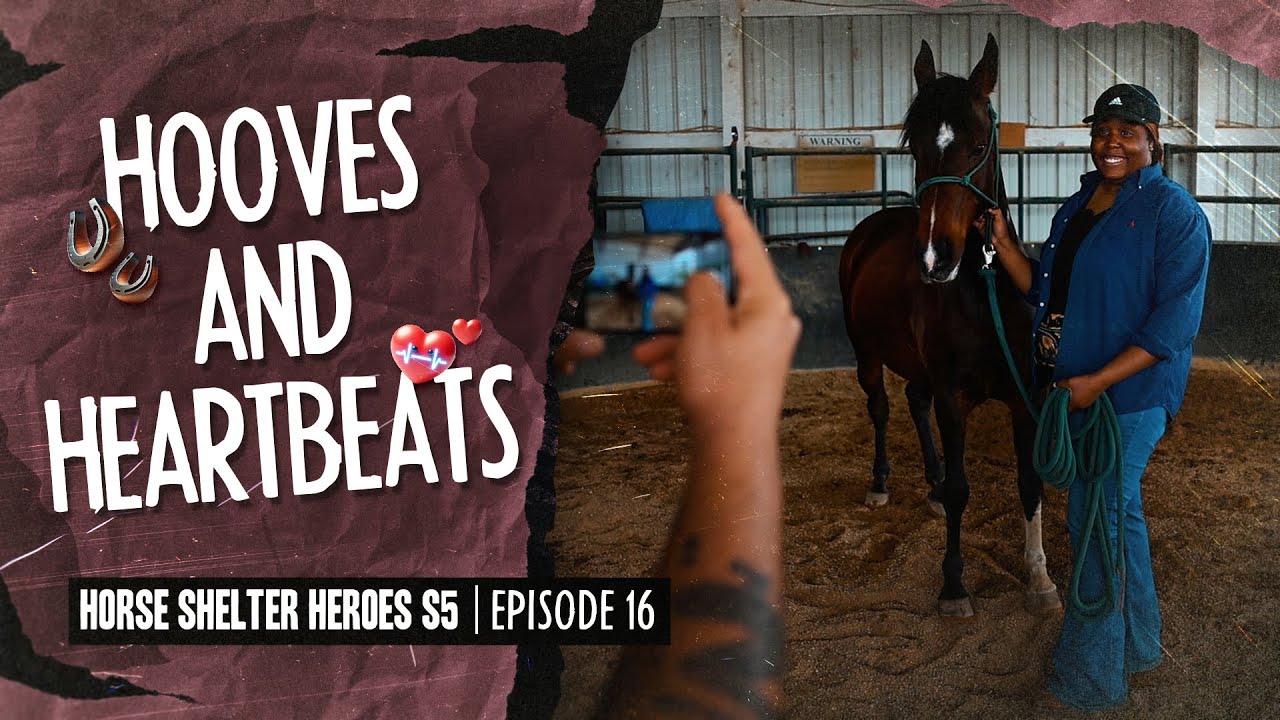 Horse Shelter Heroes S5E16 - Hooves and Heartbeats
