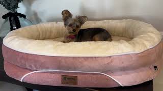 Orthopedic Waterproof Large Dog Bed, Washable Dog Bed with Bolsters Review