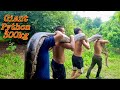 Brave hunter tracked down and caught a giant snake 300kg