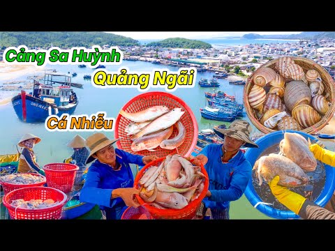 Video Xóm Chài Độc Nhất Vô Nhị Ở Quảng Ngãi | Thân Thiện... - youtube